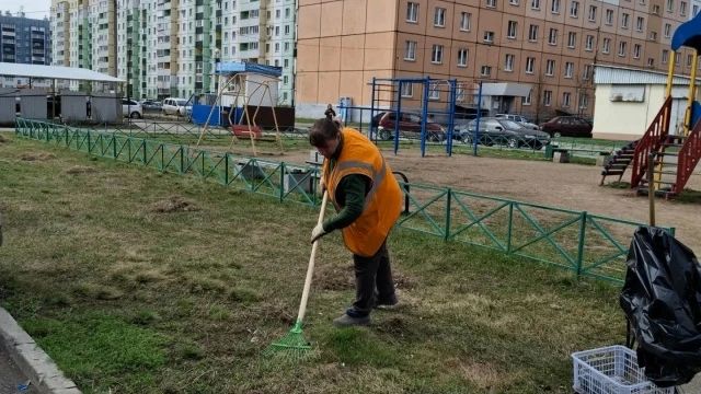 Осенняя уборка придомовой территории: что важно знать Осенняя уборка придомовой территории: что важно знать