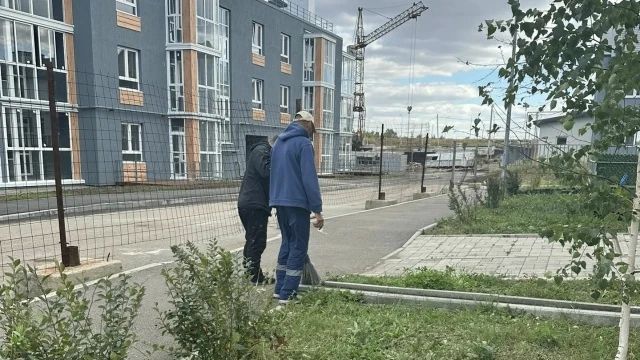 Осенняя уборка придомовой территории: что важно знать