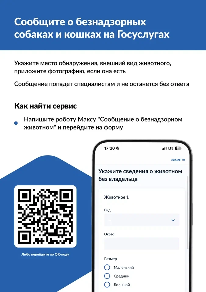 Увидели бездомное животное? Теперь о нем можно сообщить на Госуслугах за 2 минуты